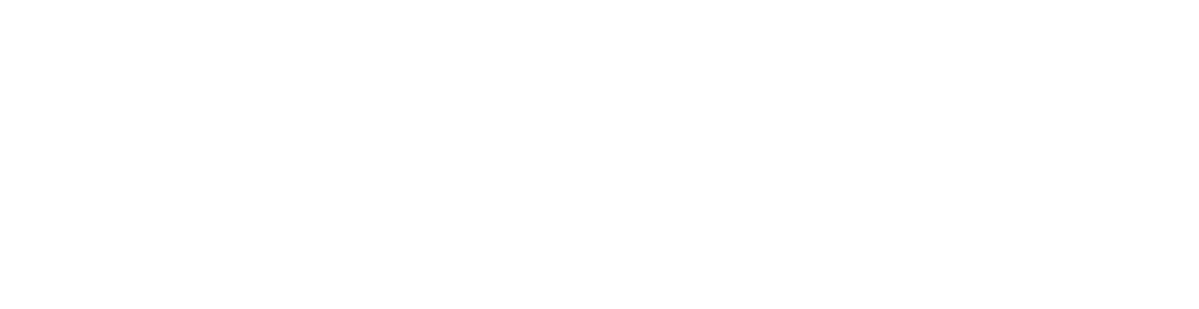 big_logo_long.png